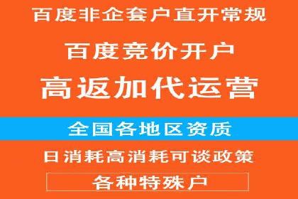百度竞价托管：案例中的优化策略